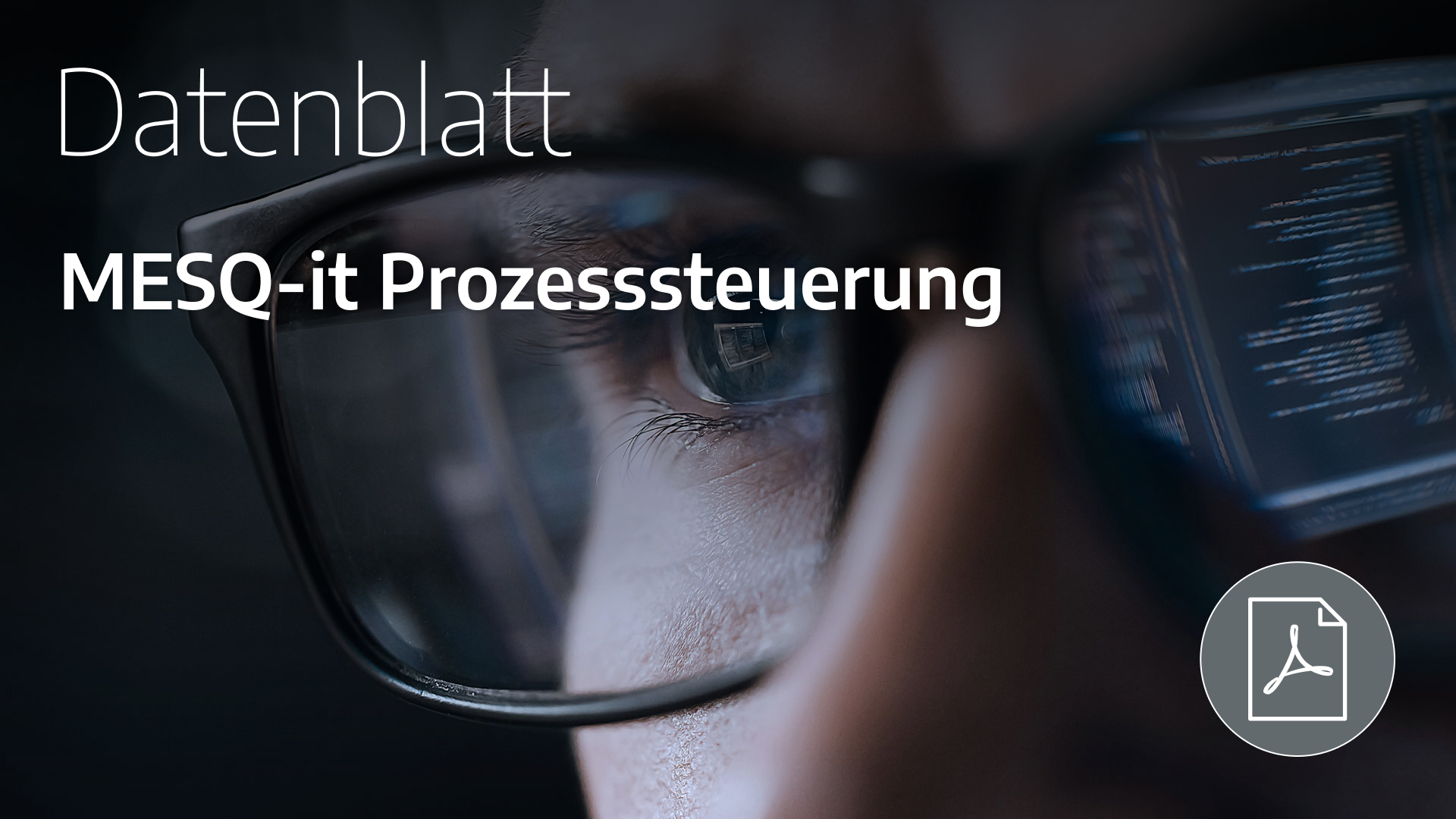 Prozesssteuerung Datenblatt